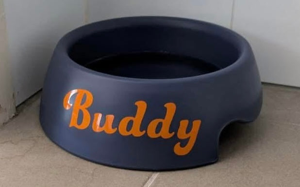 Pet Name single layer