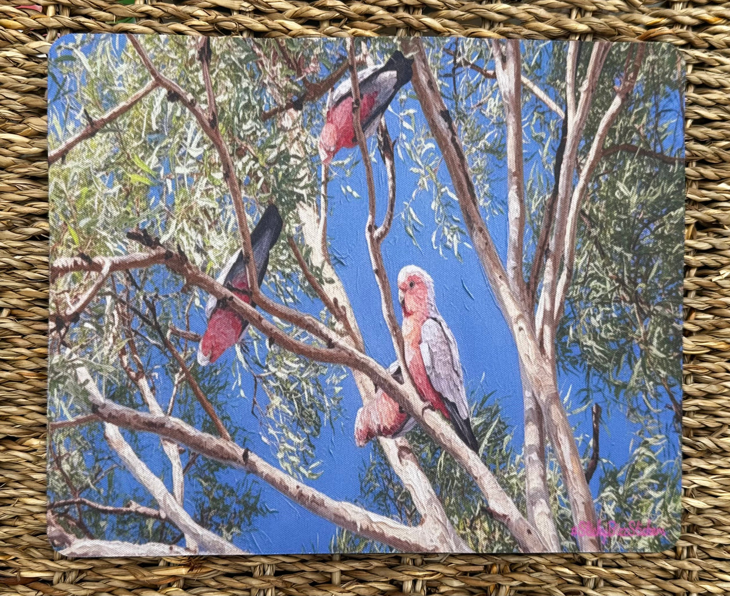 Galah's playing in the tree