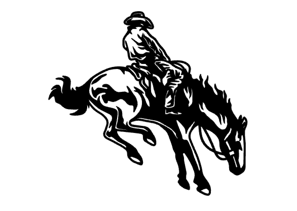 Bucking cowboy