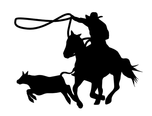Roping a cow