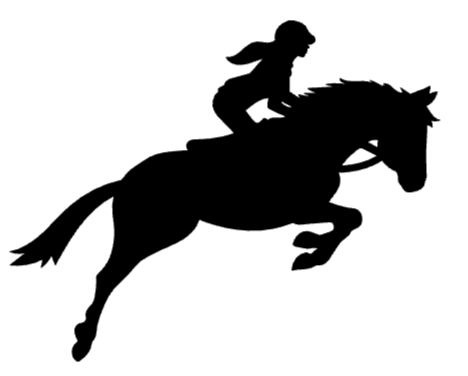 Horse  Show Jumping