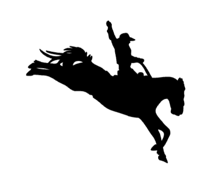 Cowgirl 1