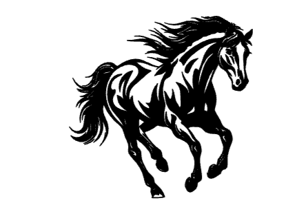 Horse runing